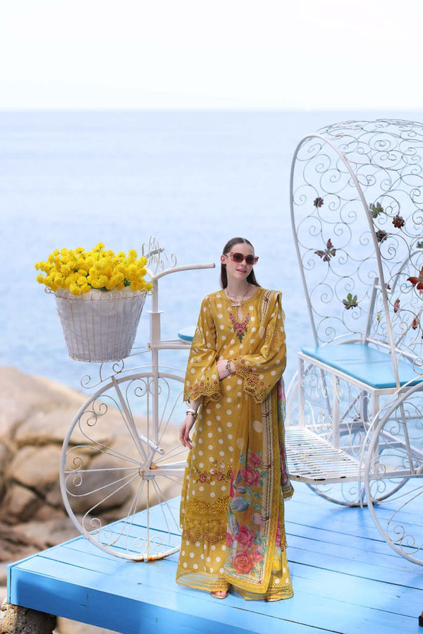 D-6B NOOR Luxe Printkari Lawn Collection